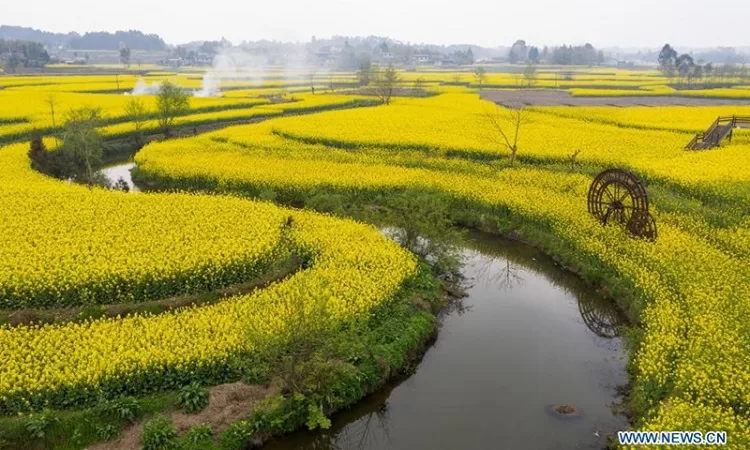 China farming expands as population ages