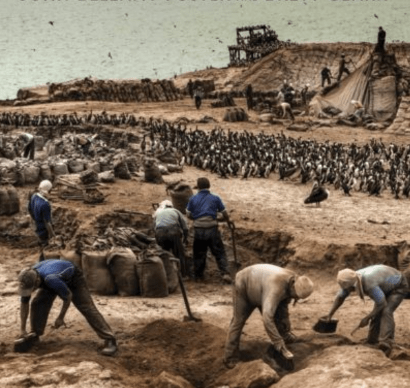 Capitalism and the Ecological&nbsp;Rift