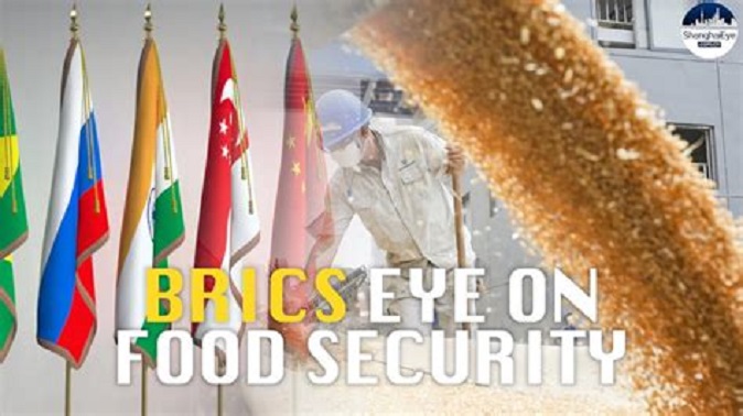 BRICS grain exchange proposal