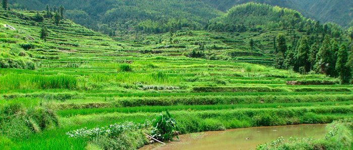 Globally Important Agricultural&nbsp;Heritage