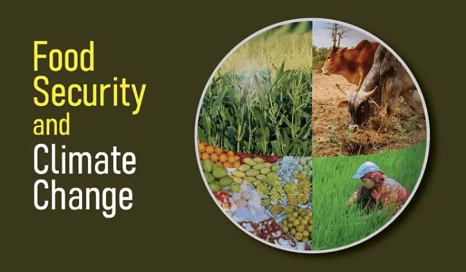 Food security in China and the impact of climate change