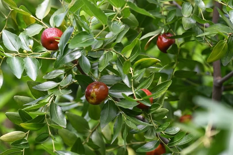 No photo description available.