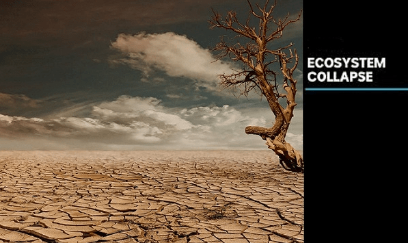 Has ‘eco-collapse’ begun?