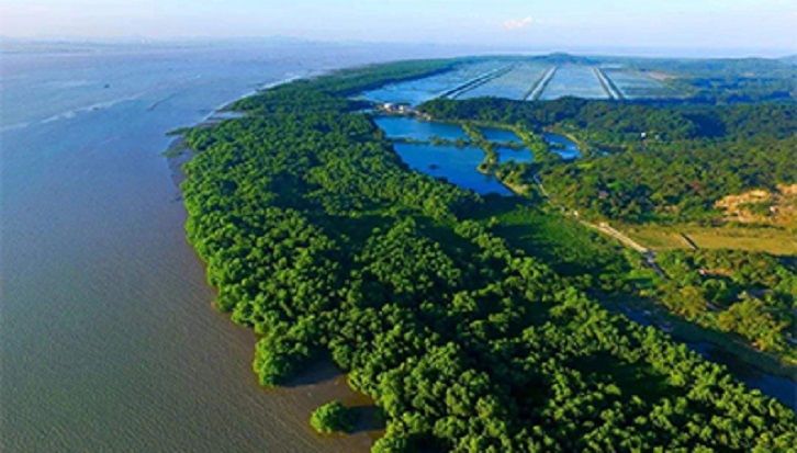 ‘Nature-based Solutions’ with Chinese characteristics