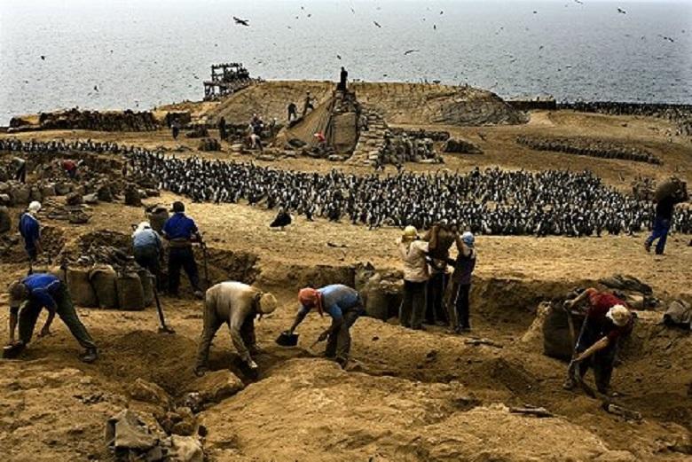 Guano and the West’s opening of the Pacific