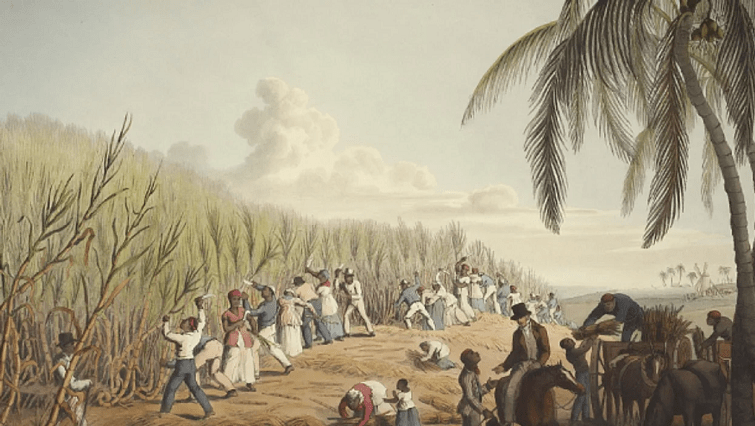 Industrialization of colonial agriculture