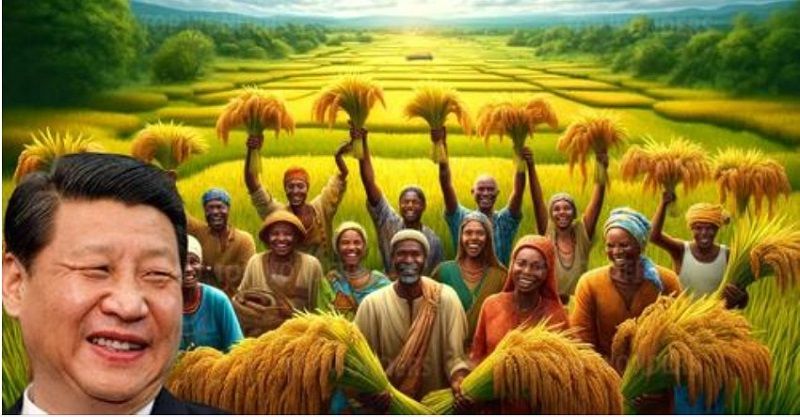 Madagascar – China’s hybrid rice helps food security for African nation