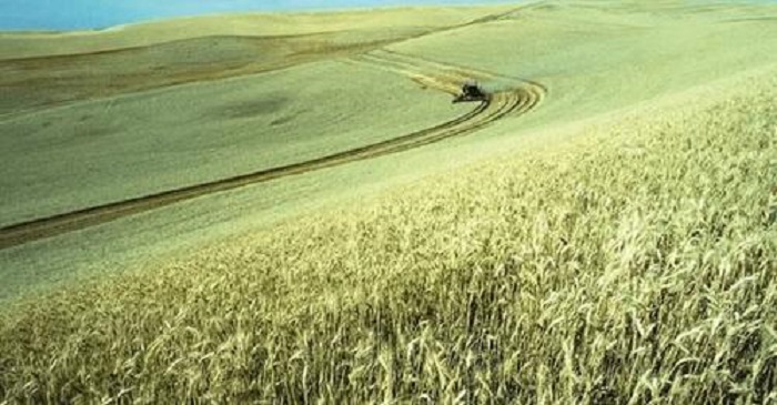 Russia’s Climate Change Adaptation Plan