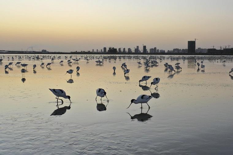Protecting China’s ‘unofficial’&nbsp;wetlands