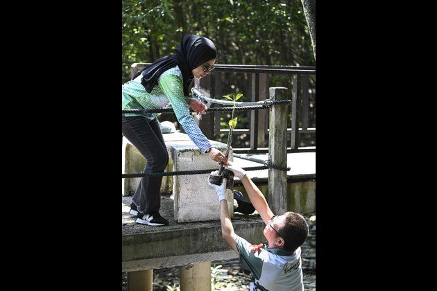 Builders of Malaysia’s mega railway project join hands to rehabilitate mangrove forest
