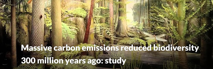 Massive carbon emissions reduced biodiversity 300 million years ago: study