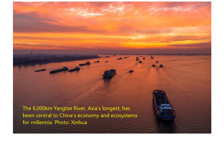 Biodiversity of China’s Yangtze River improves