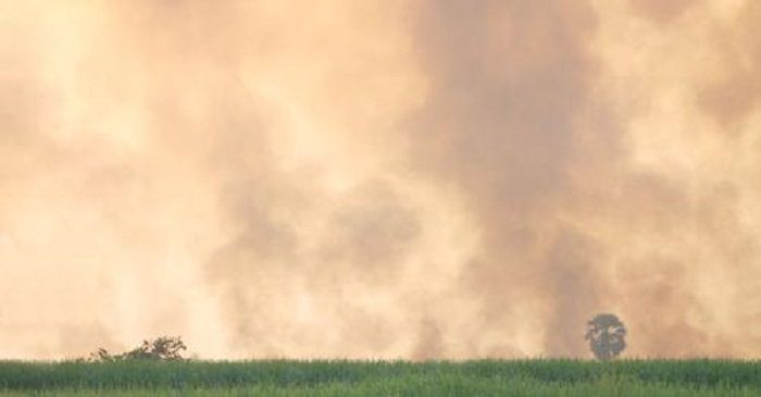 Vicious circle of air pollution and climate-change induced wildfires has global impact