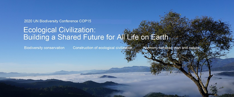 Why is biodiversity important?