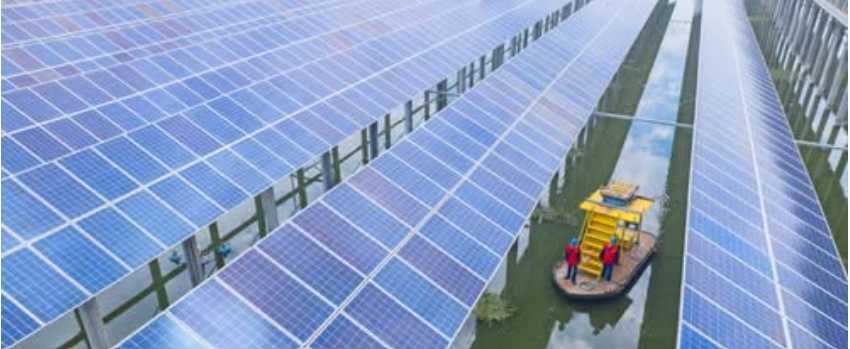 Chinese economist calls for bold action on climate leadership