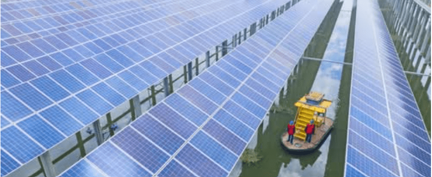 Chinese economist calls for bold action on climate&nbsp;leadership