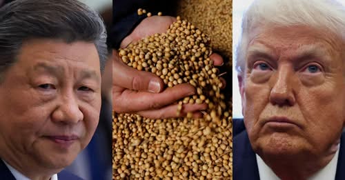China halted U.S. soybean & corn imports before Trump tariff&nbsp;war