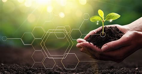 China Releases Regulations on the Protection of New Plant&nbsp;Varieties