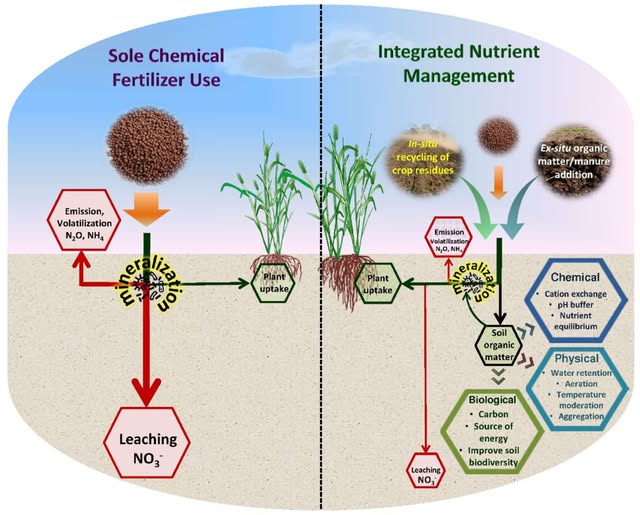 China Advances Green Agriculture