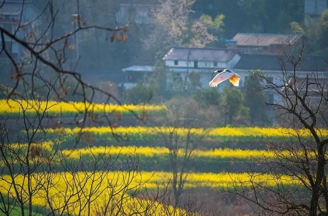 How China’s revised nature reserve regulations fine-tune human–nature relations