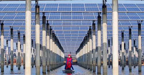China Is Planning Decades Ahead on Clean Energy, as U.S. Goes Backwards