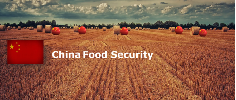 China, BRICS+ and Global Food Security