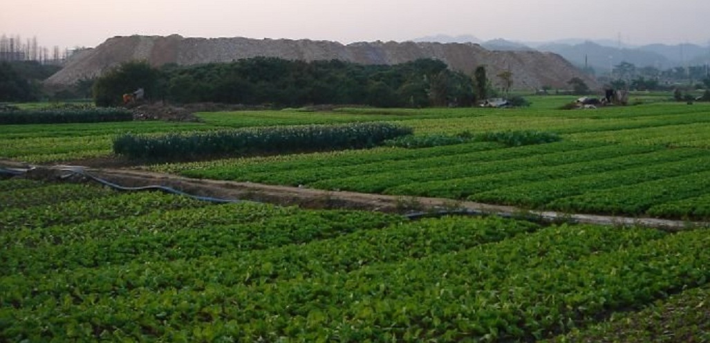 China’s scientists green tech break-through turns farm and forestry waste into high-value biochar